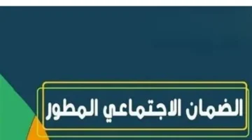 الضمان المطور: كيف تتحقق من أهليتك لدفعة نوفمبر قبل الصرف؟